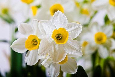 《牧野之歌》开启众筹 小清新种菜养殖建设农场新游